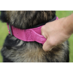 Dingo Gear Drago Leather Dog Collar with Handle Pink XL 56-64cm