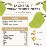 Biona Organic Young Jackfruit in Salted Water 2.8kg – Vegan, High Fibre