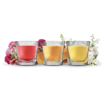 Glade x Emily in Paris Scented Candle Collection – 3 x 112g – Soirée de Scandal, Bonjour les Bois & Jardin des Secrets