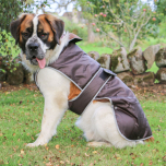 Ancol Stormguard Chocolate Dog Coat Large 50cm