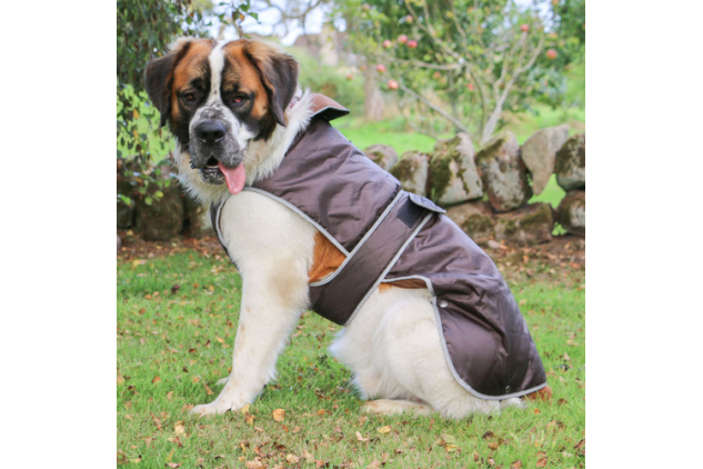 Ancol Stormguard Chocolate Dog Coat Large 50cm