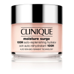 Clinique Moisture Surge 100H Hydrator 125ml