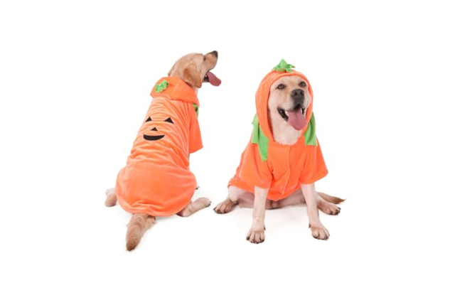 FLAdorepet Pumpkin Dog Costume Orange 5XL