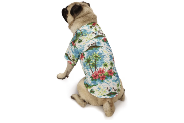 Casual Canine Hawaiian Dog Shirt Blue Medium 16 Inch