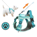EZ Famii XXS Blue Dog Harness with Retractable Leash