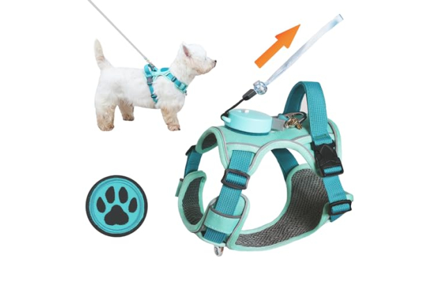 EZ Famii XXS Blue Dog Harness with Retractable Leash