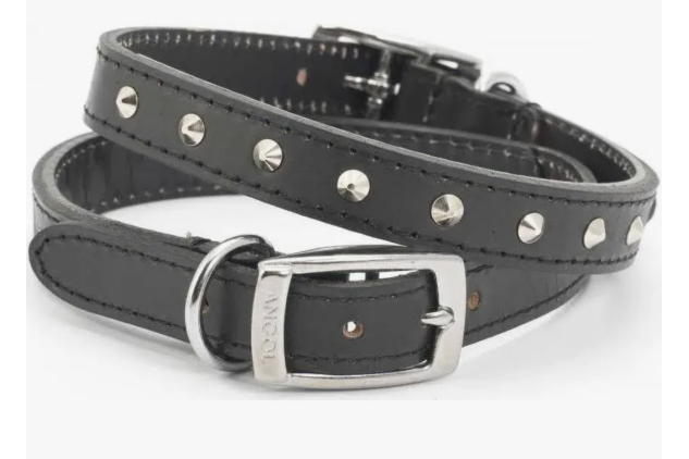 Ancol Studded Black Leather Dog Collar 20-26cm