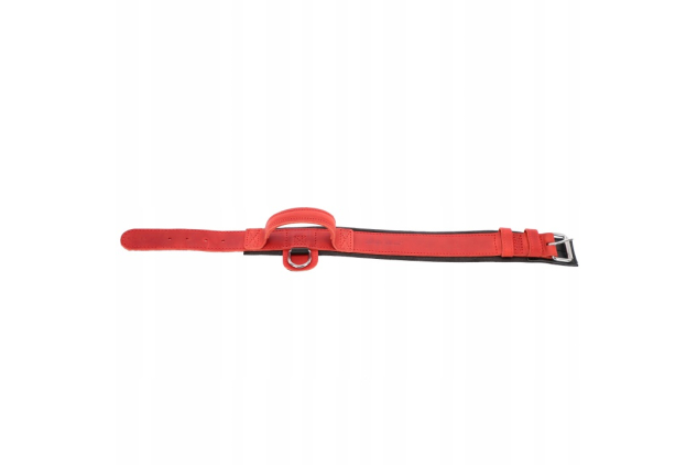 Dingo Gear Drago Red Leather Dog Collar 40-48cm