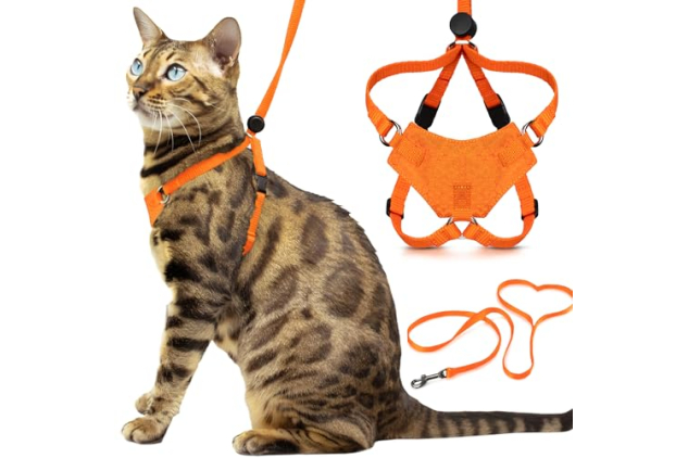 OutdoorBengal Houdini Cat Harness Orange M/L