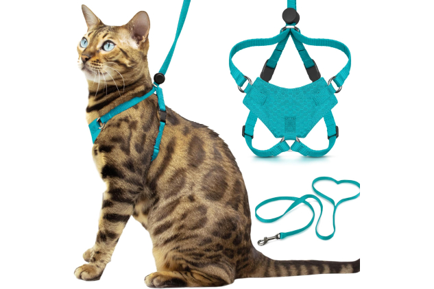 OutdoorBengal Houdini Large Cat Harness & Leash