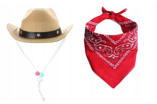 Pet Cowboy Hat & Red Bandana Costume Set