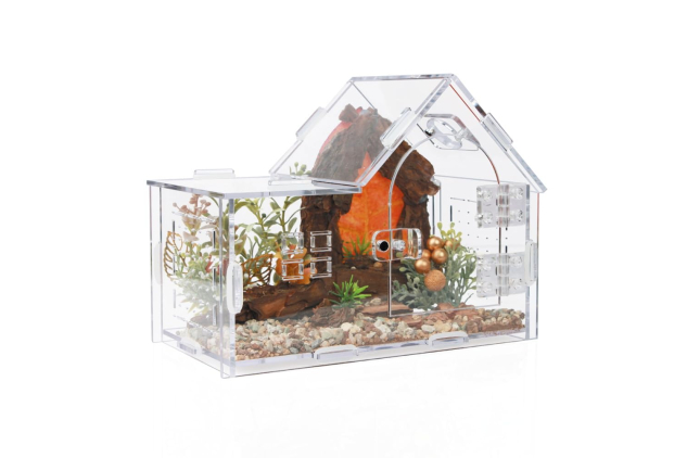 ZUIFIANLE Acrylic Jumping Spider Enclosure