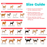 Voyager Step-In Air Dog Harness - All Weather Mesh, Reflective, No Pull Harness for Small, Medium Dogs, Cats - Secure with Hook & Loop Fastener, Buckle, Double D-Rings - Pink, XXXS