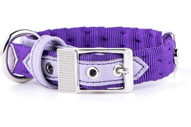 MyFamily Milano Nylon Dog Collar, Purple, Small/Medium