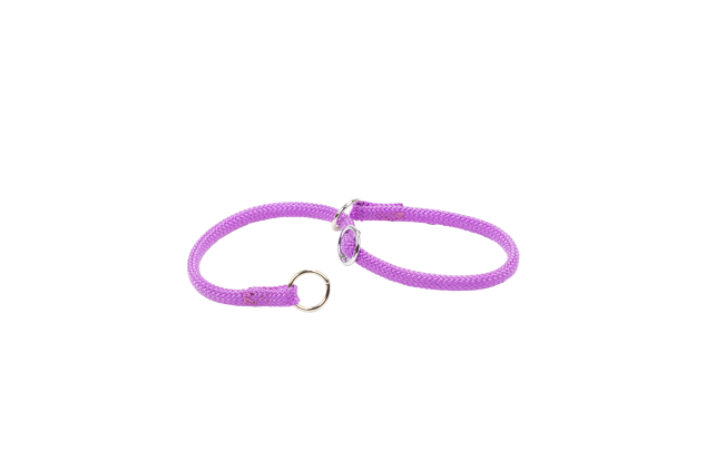 Ferplast Purple Training Dog Collar 35cm x 8mm