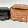 Mizon Snail Repair Cream – 25ml Face Moisturizer with Snail Mucin, Korean Skincare for Wrinkles & Blemish Care