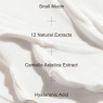 Mizon Snail Repair Cream – 25ml Face Moisturizer with Snail Mucin, Korean Skincare for Wrinkles & Blemish Care